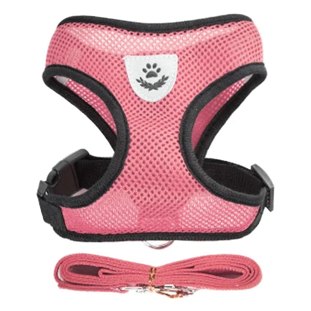 Summer small dog pet chest and back breathable dog chest and back suit cat outdoor traction rope child collar
