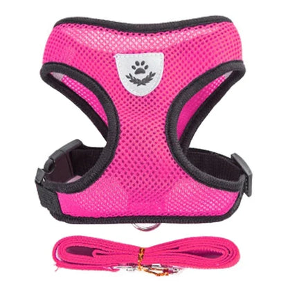 Summer small dog pet chest and back breathable dog chest and back suit cat outdoor traction rope child collar