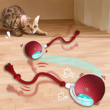Hot cat toys are automatically teasing cat balls and self-exciting cat sticks and ticks and resistant to wear and bite pet toys