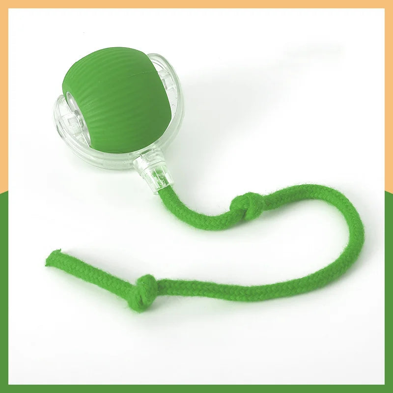 Hot cat toys are automatically teasing cat balls and self-exciting cat sticks and ticks and resistant to wear and bite pet toys