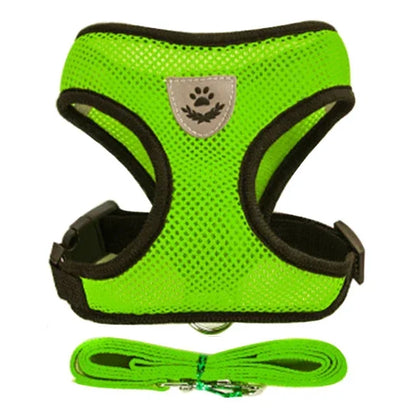 Summer small dog pet chest and back breathable dog chest and back suit cat outdoor traction rope child collar