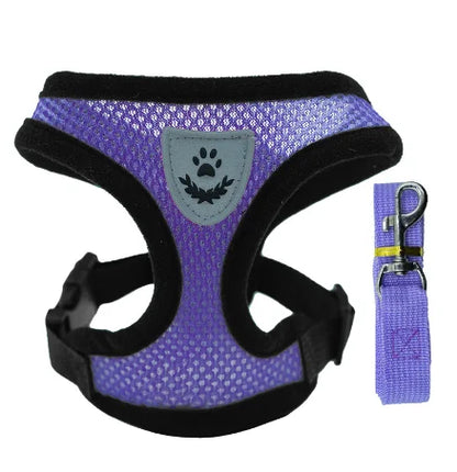 Summer small dog pet chest and back breathable dog chest and back suit cat outdoor traction rope child collar